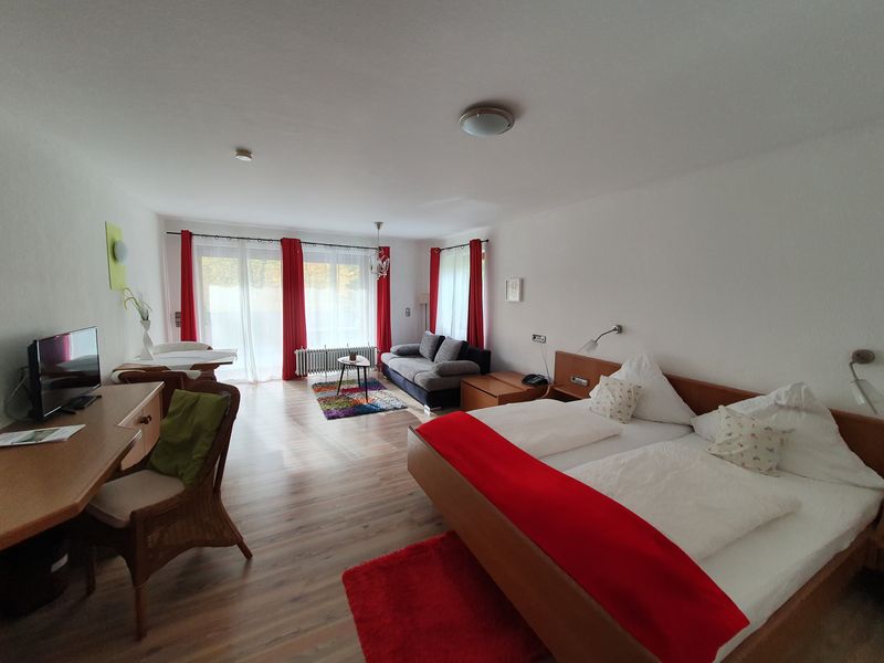 Gepflegte 1-Raum-Wohnung mit Balkon und Einbauküche in Bad Teinach-Zavelstein